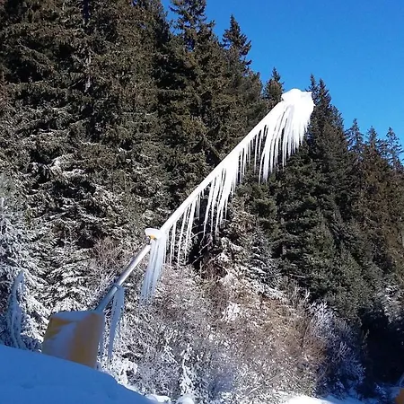 тодор прегьов