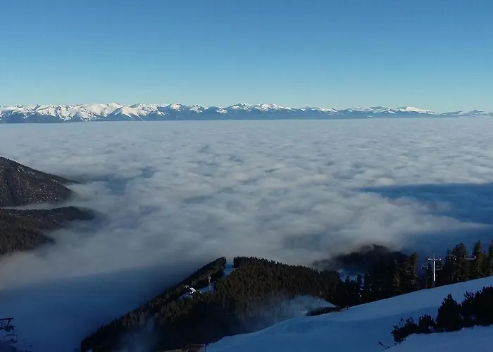 тодор прегьов